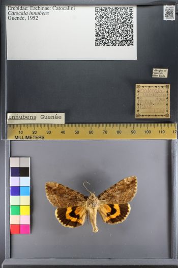 Media type: image;   Entomology 640179